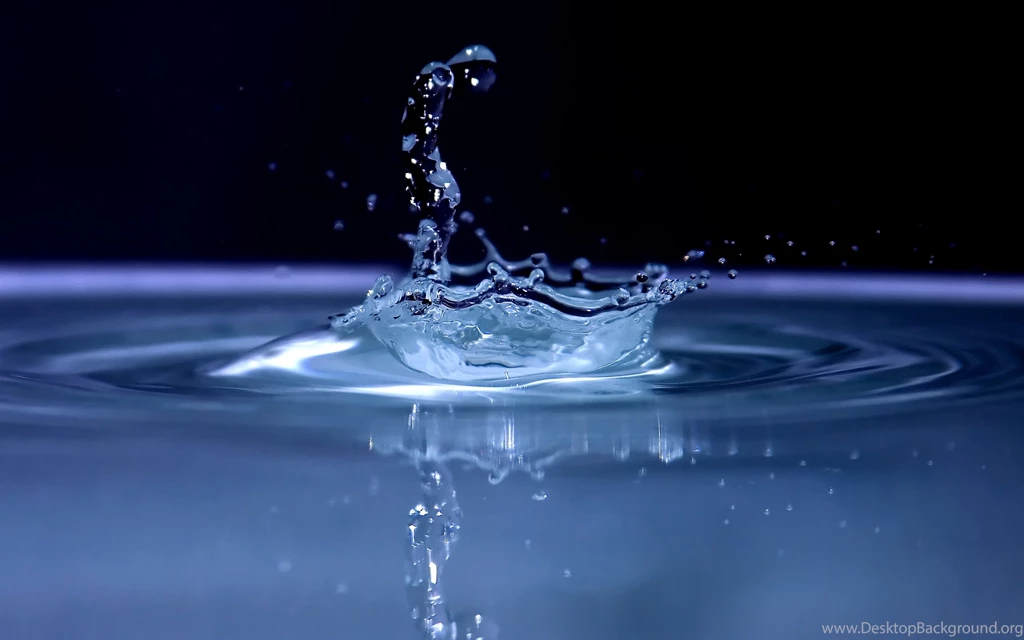 Wallpapers Drops Of Water Drop Hd 2560x1600