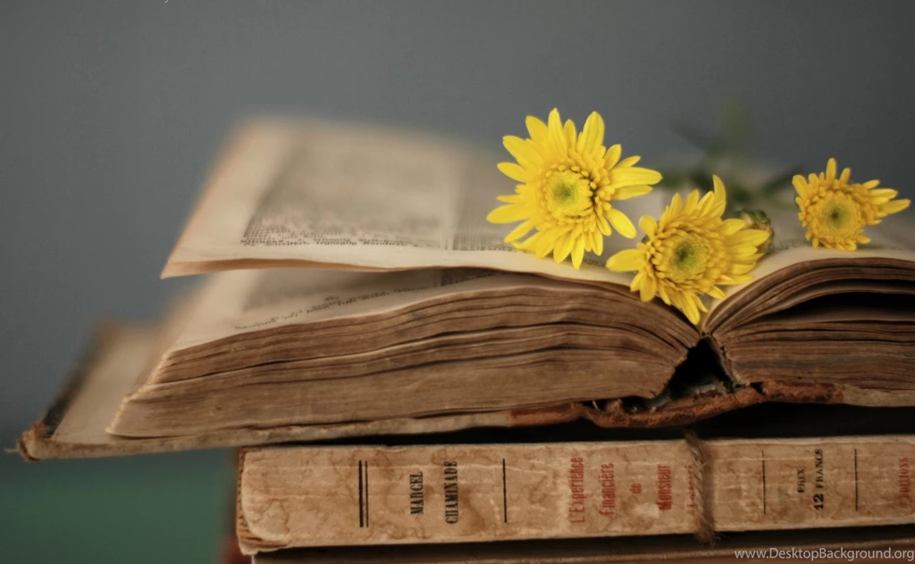 Divine Ladies Of Literature – “We Lose Ourselves In Books, We Find ...