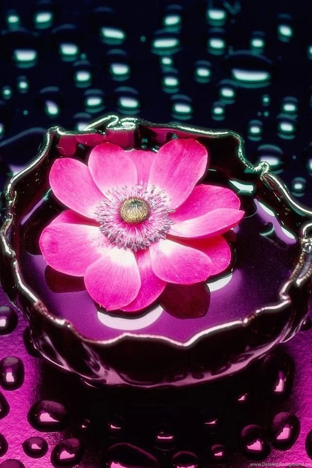 Wallpapers On Pinterest