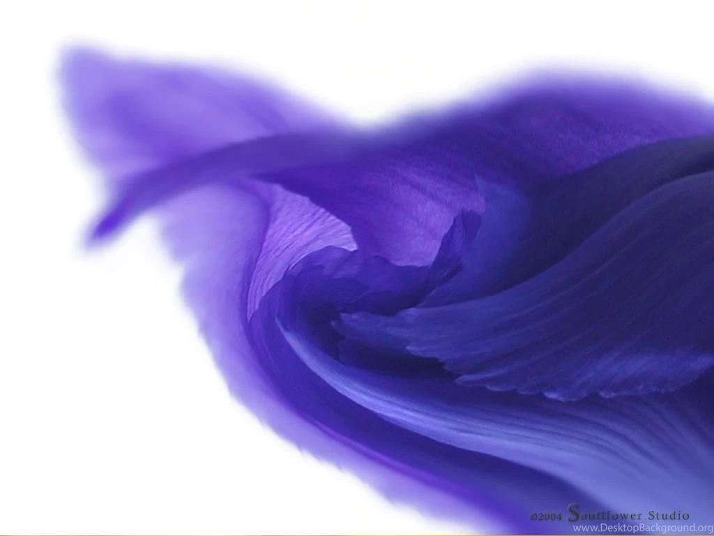 Soulflower Studio Fine Art Photography: PC Wallpapers