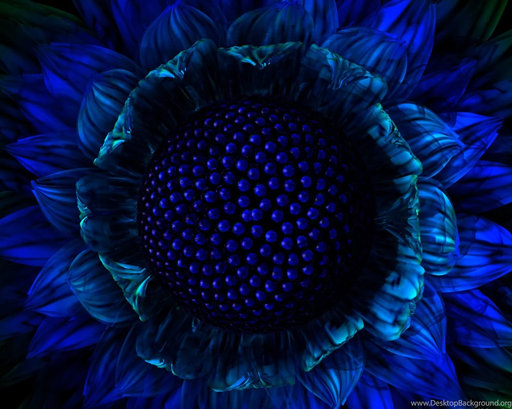 1280x1024 Flower Iris Desktop PC And Mac Wallpapers
