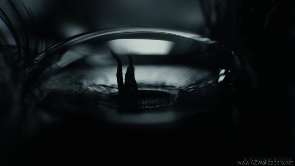 The Girl With The Dragon Tattoo Computer Wallpapers, Desktop ...