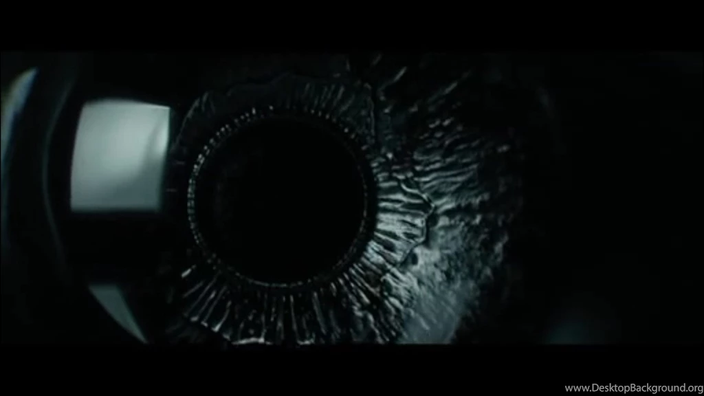 The Girl With The Dragon Tattoo