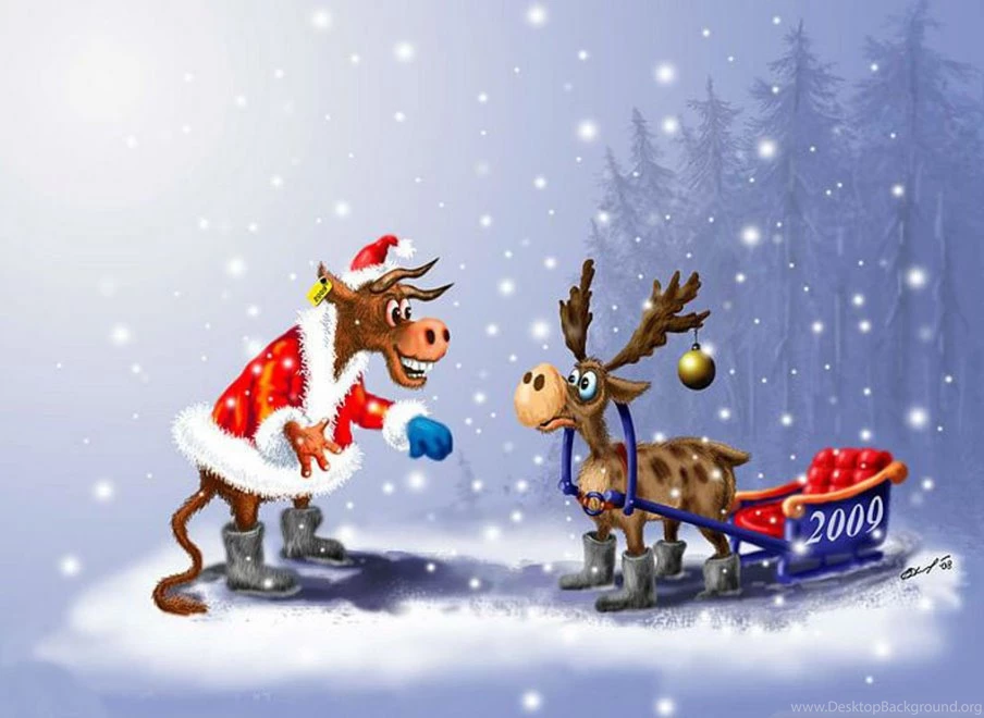 Funny Christmas Wallpapers Wallpapers Cave