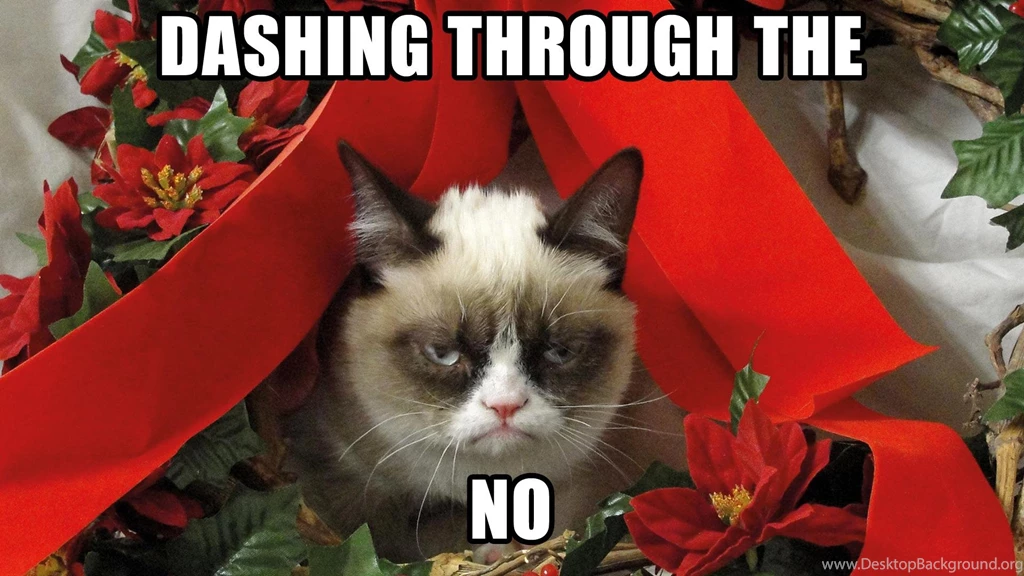 Free Christmas Cats Wallpapers Download ~ Toptenpack.com