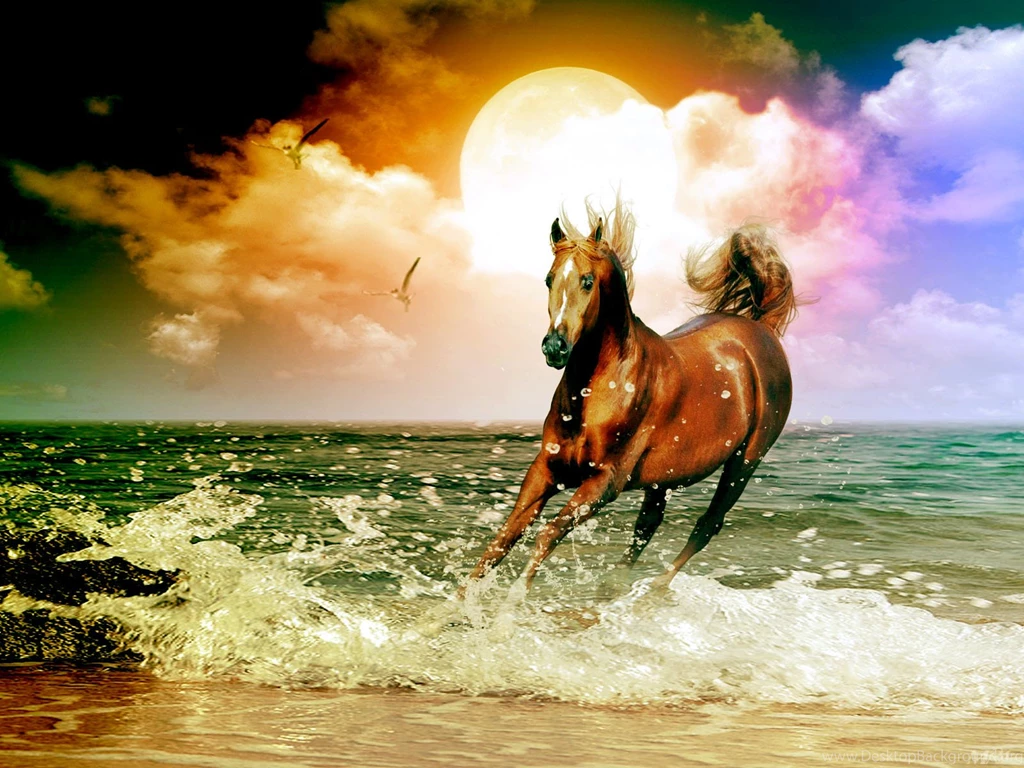 Horses Wallpapers