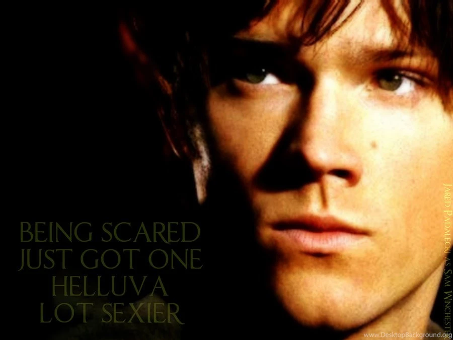 Sammy   Sam Winchester Wallpapers (30915313)   Fanpop