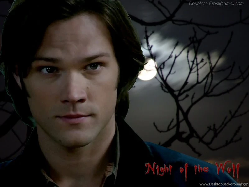 Night Of The Wolf Sam Winchester Wallpapers (23199301) Fanpop