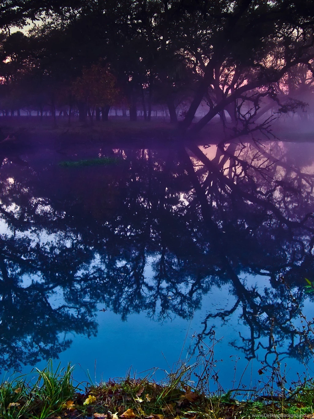 Sebastopol Lagoon Retina iPad Wallpapers Wallpapers Style
