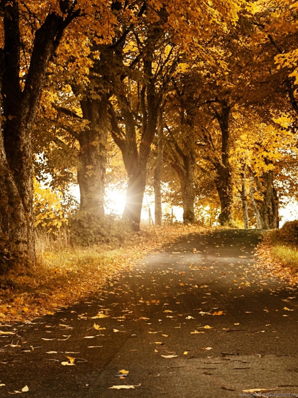 Landscape/landscapeHD wallpaper 13.jpg