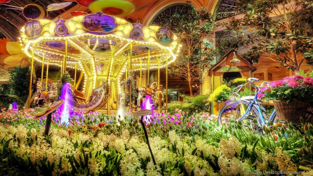 Carousel Gardens >> HD Wallpaper, Get It Now!