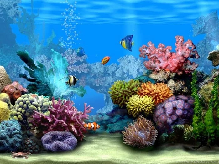 Download Animated Desktop Wallpapers Free Download Animated ...