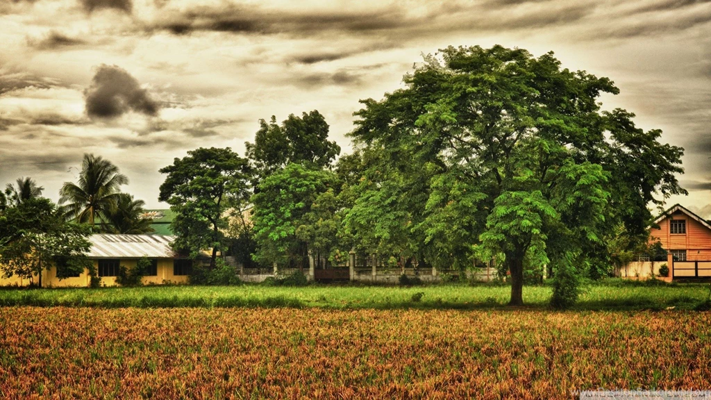 Farms Beautiful Rural Scene Hdr Fields Clouds Farm Trees Nature ...