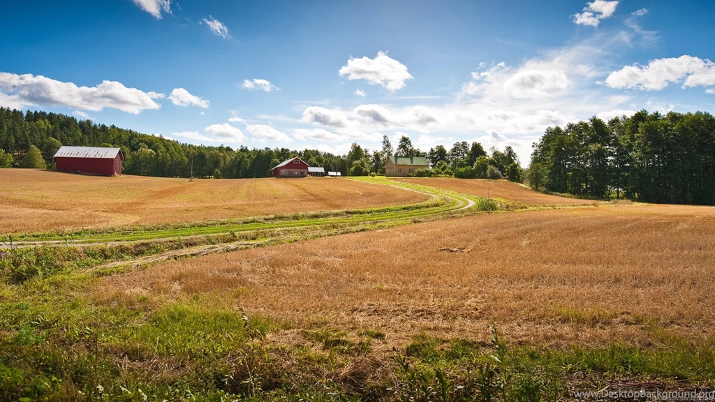 Farms Wallpapers Page 16: Beautiful Farms By Sea Coast Fields ...