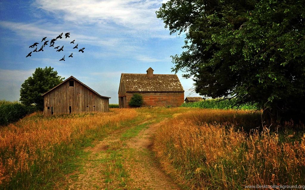 Farm photography hd wallpaper 2560x1600 10222.jpg