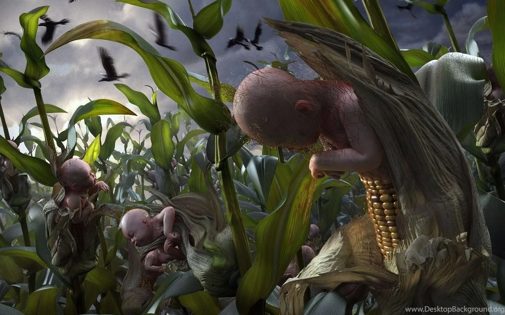 22 Stange, Bizarre And Unusual Desktop Wallpapers