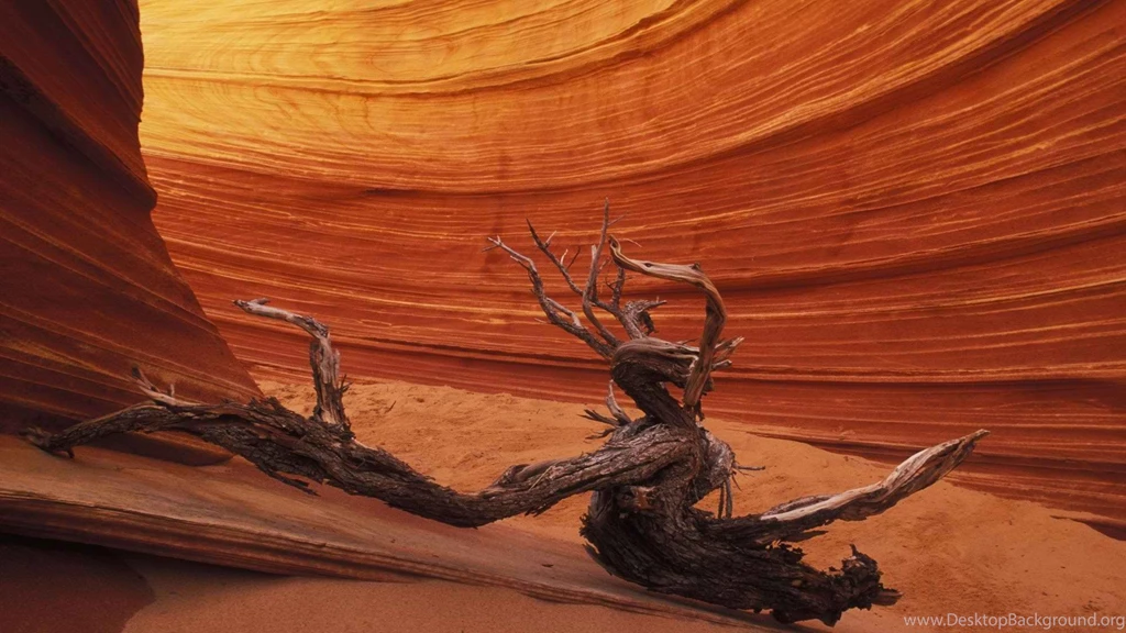 Bizarre Forms Antelope Canyon Wallpapers And Images   Wallpapers ...