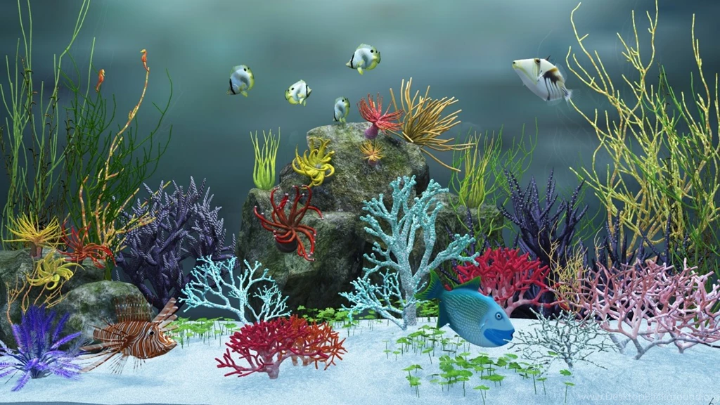 1366x768 Aquarium View Ver.2 Desktop PC And Mac Wallpapers