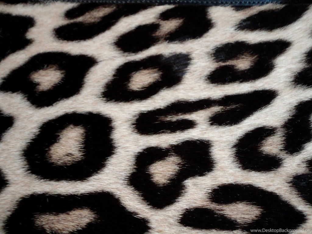 Black And White Animal Print (id: 164453) – BUZZERG