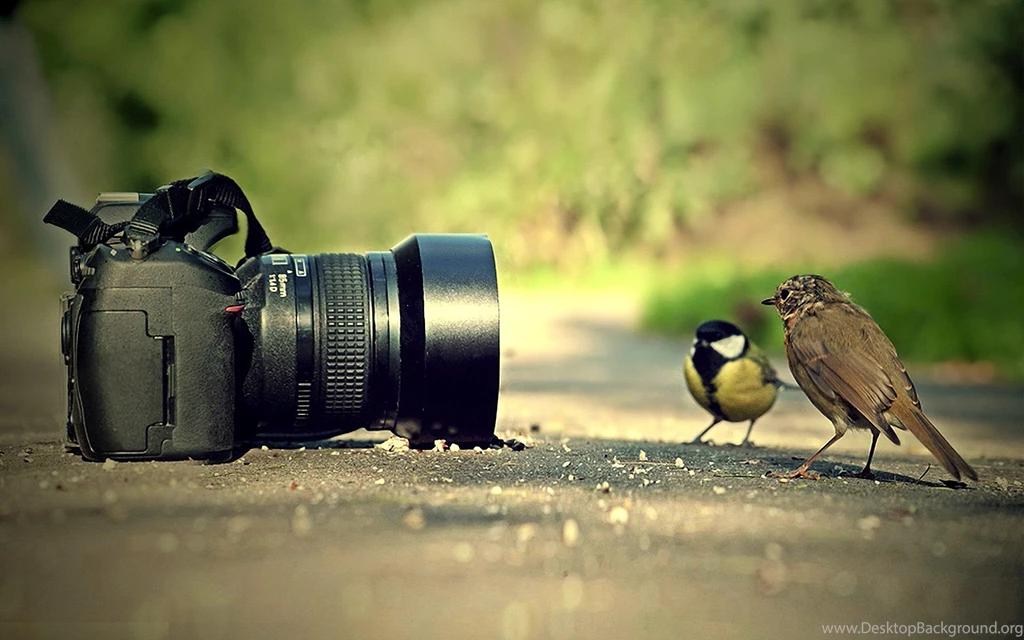 Camera Photography HD Wallpapers New Wallpapers For You