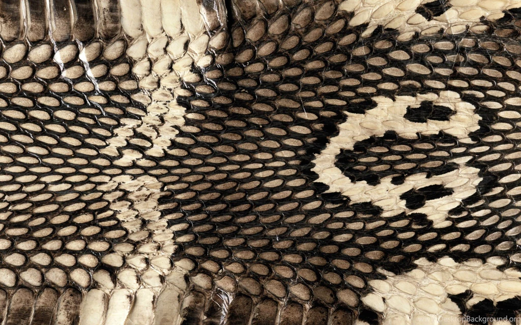 Download The Cobra Snake Skin Wallpaper, Cobra Snake Skin iPhone ...