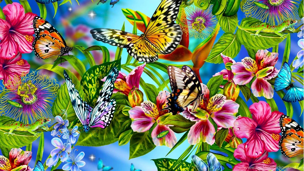 Butterfly Hd Wallpapers Free Download   Desktop Backgrounds