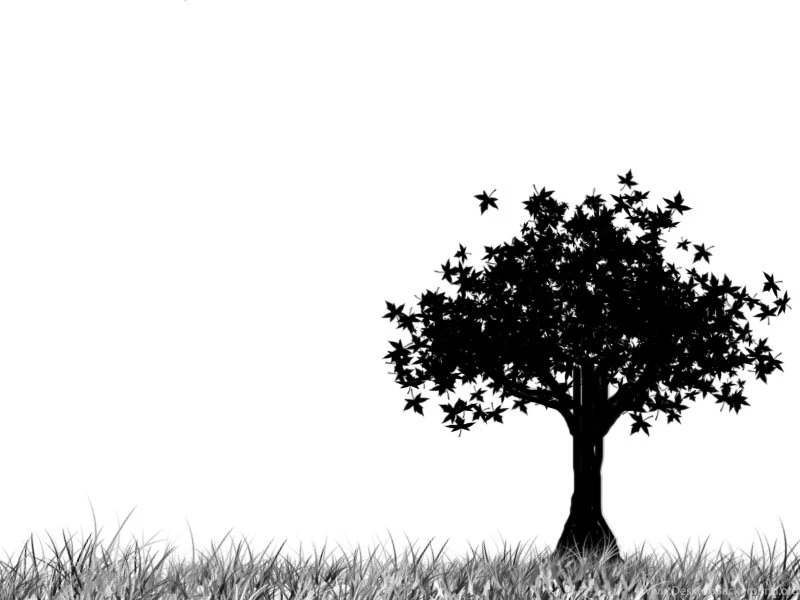 Tree Backgrounds By KrunkSteev On DeviantArt