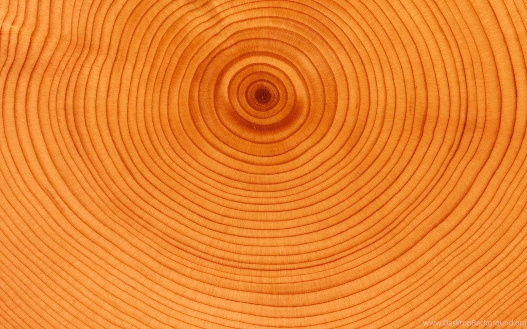 Download Wallpapers 2560x1600 Tree, Background, Circles, Slice ...