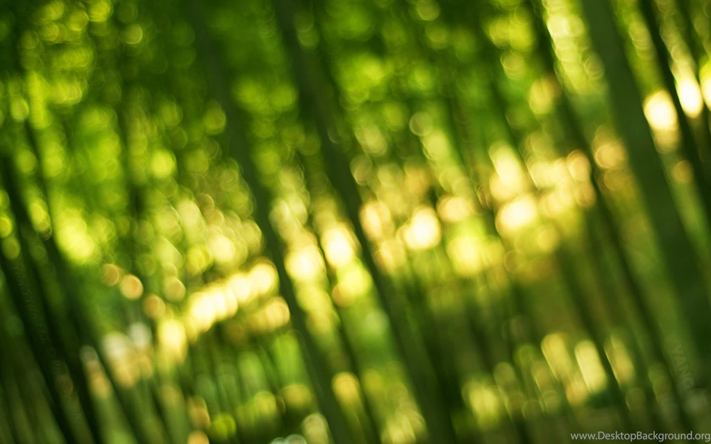 Download Wallpapers 3840x2400 Bamboo, Green, Light, Bokeh Ultra HD ...