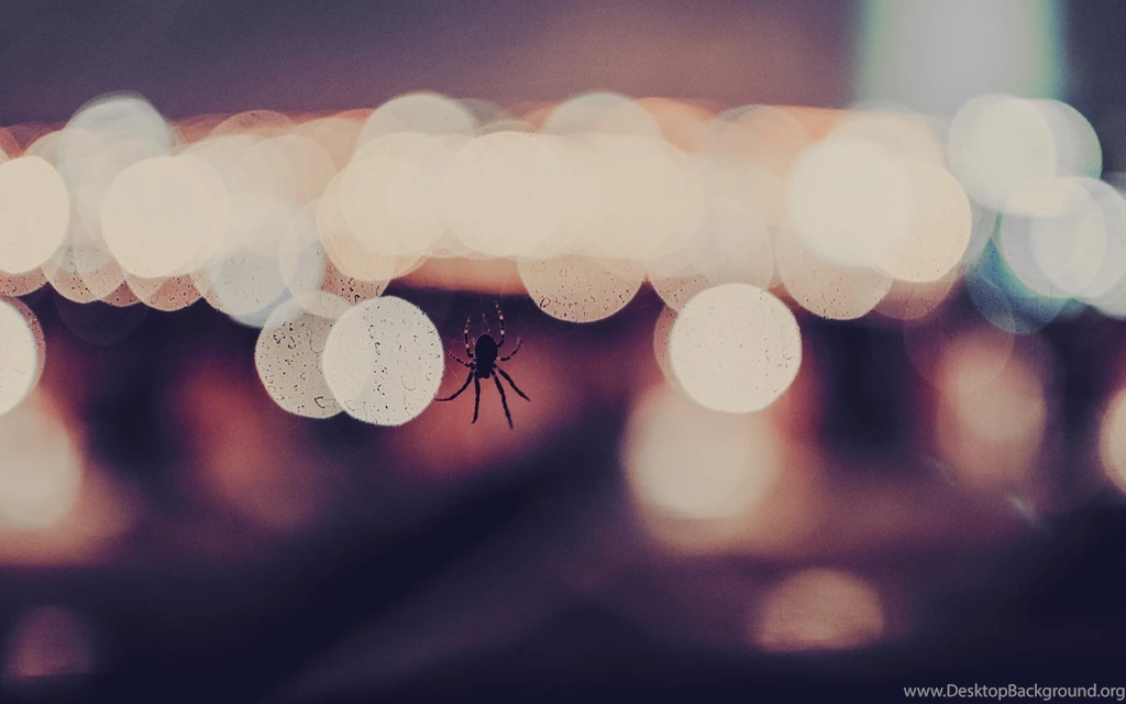 Fence, Summer, Photo, City, Bokeh Light, Macro, Background, Fullscreen