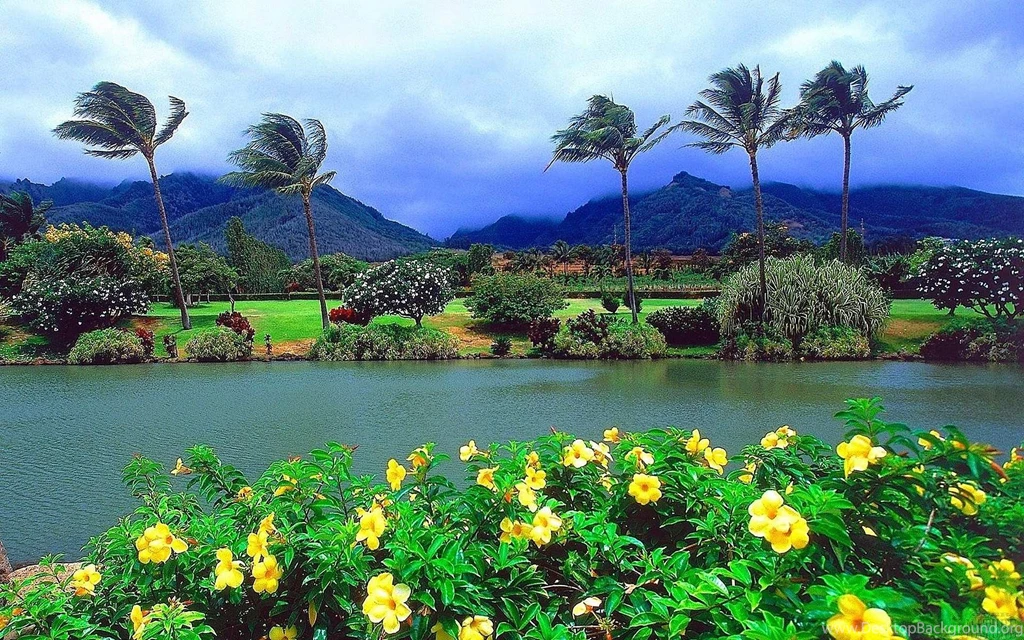 Maui Island In Hawaii Wallpapers
