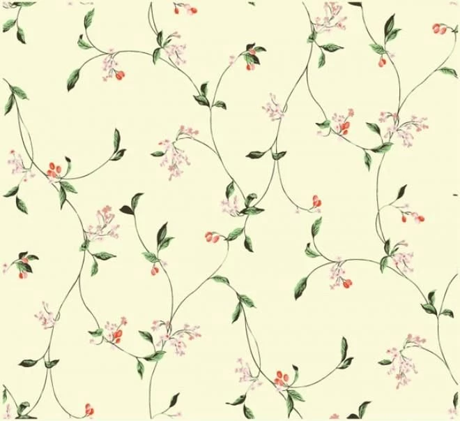 Simple Backgrounds