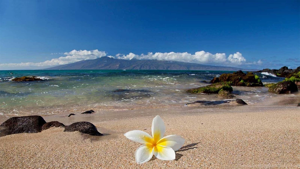 Download Free HQ Maui Wallpapers   Hqwallbase.pw