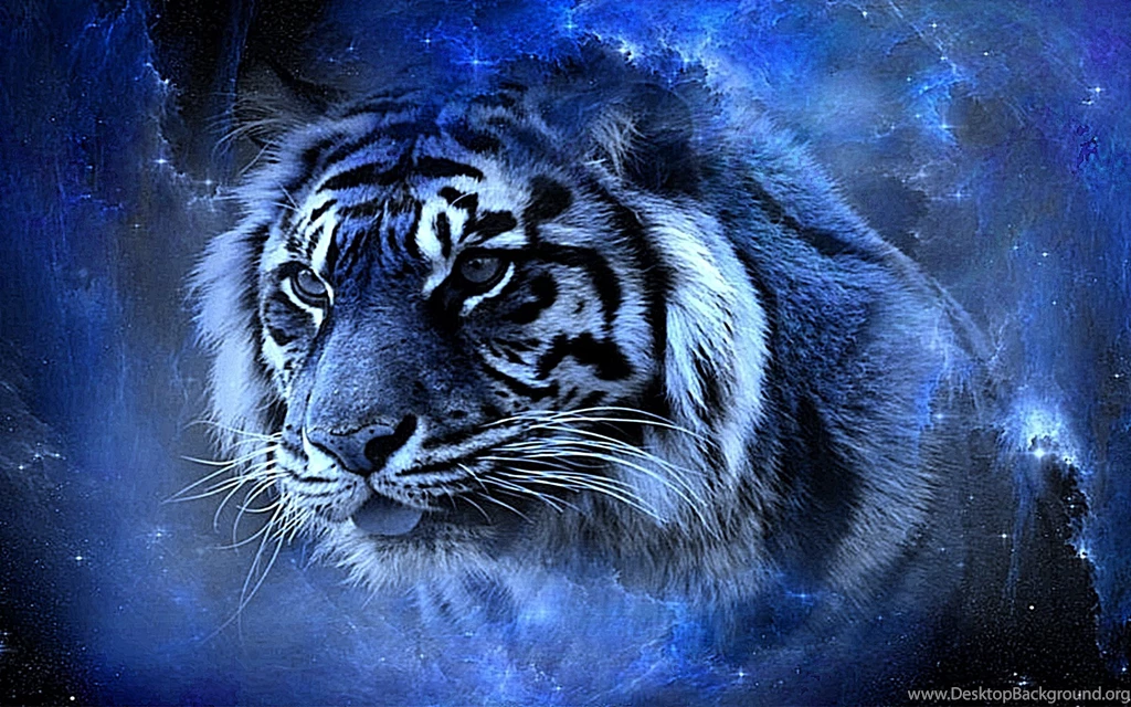 Tiger hd wallpaper 0157.jpg