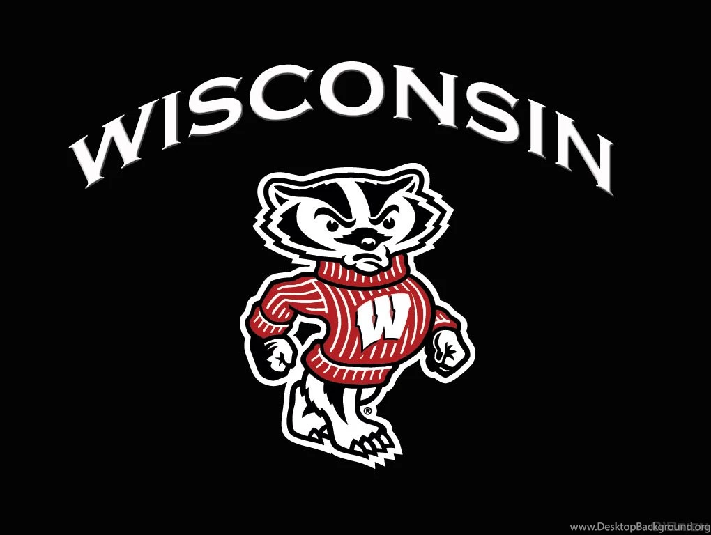Wisconsin Badgers Games On DVD