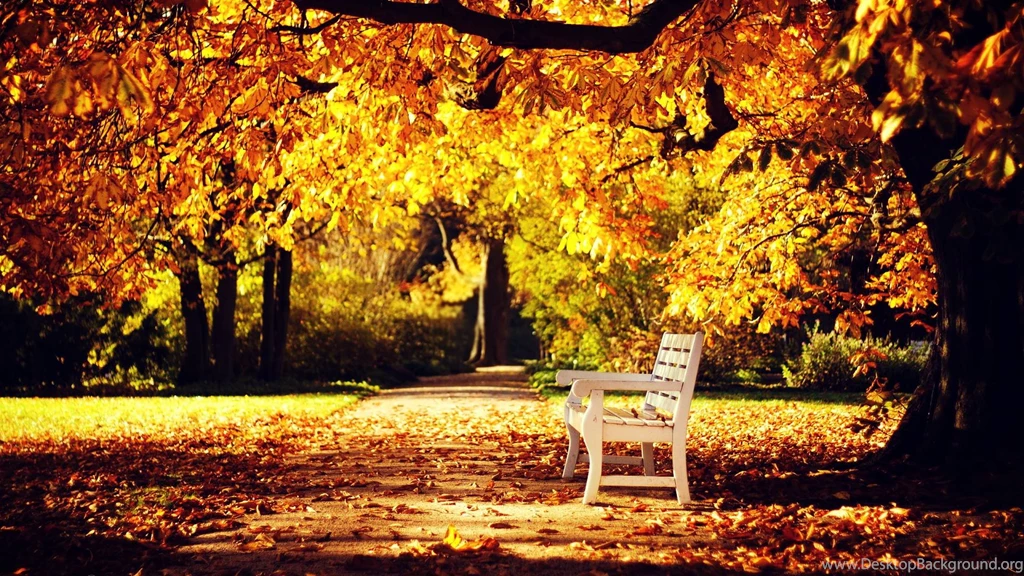 Autumn Wallpapers HD Wallpapers Cave