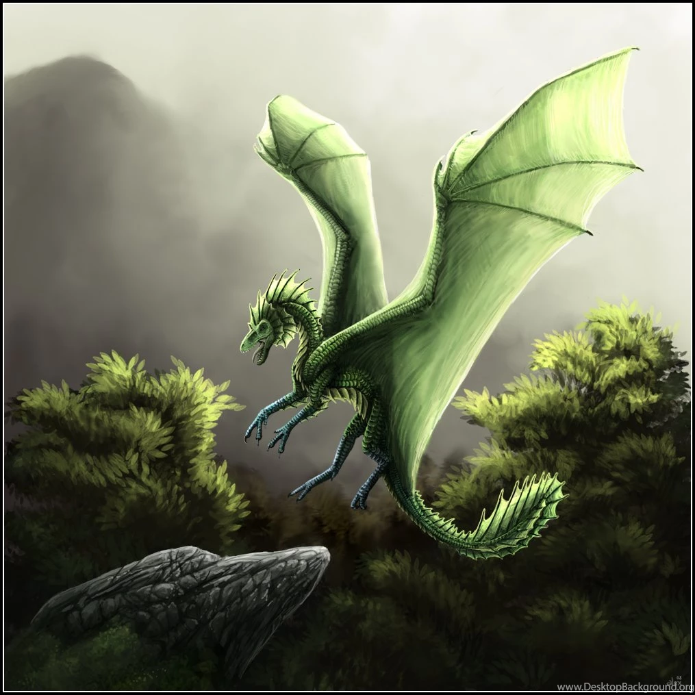 Green Dragon Wallpapers   All Wallpapers New