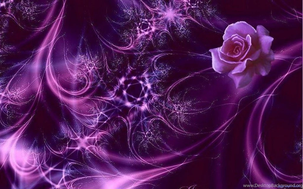 Purple Roses Wallpapers Photo