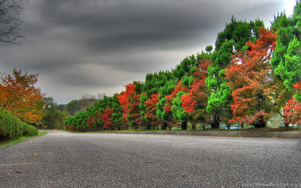 Nature Wallpapers HD Desktop Backgrounds Page 24