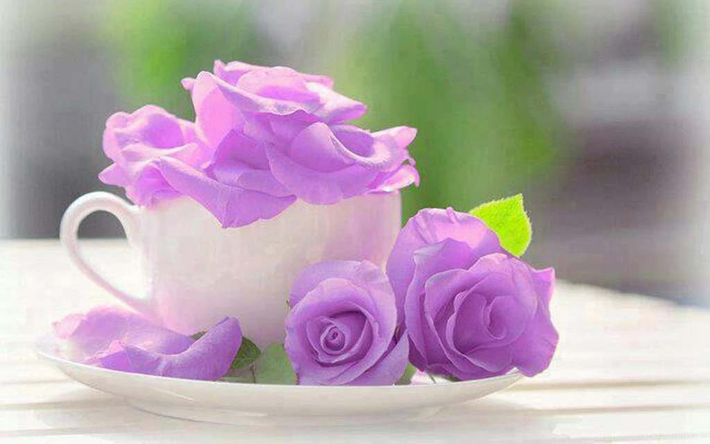 PURPLE ROSES WALLPAPER   (