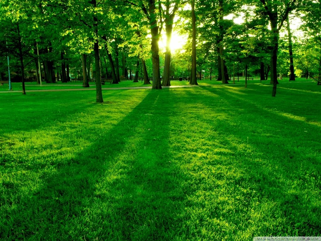 Park HD Desktop Wallpapers : Widescreen : High Definition ...