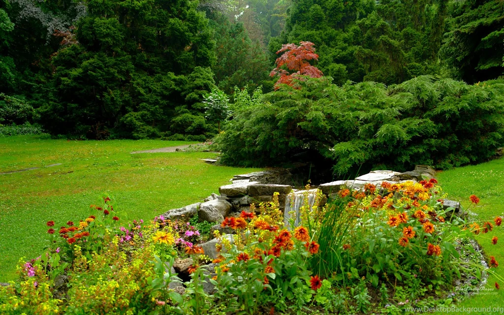 Flower Garden: Green Flowers Garden Nature Wallpapers With 16 18492 ...