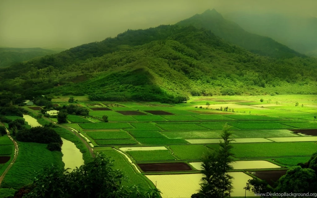 Free Nature Wallpapers   Kill My Day Now