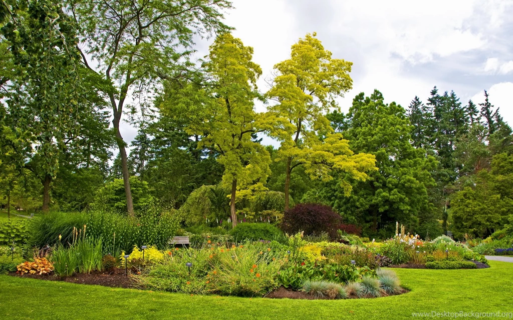 Nature Grass Park Green Garden Trees Flowers Wallpapers