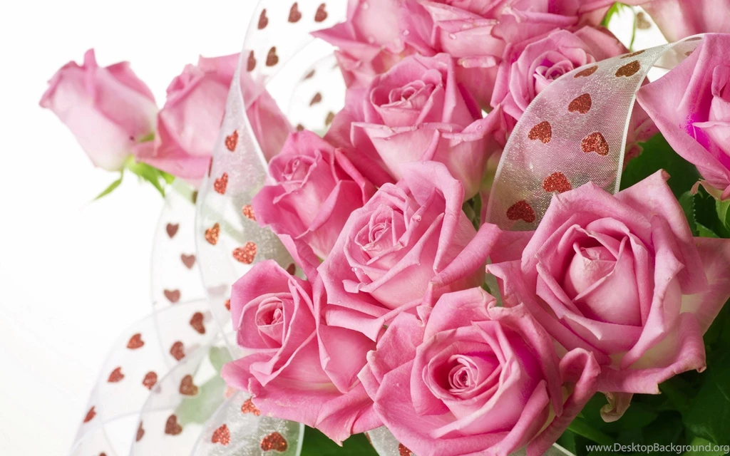 Images Of Pink Roses   Desktop Backgrounds
