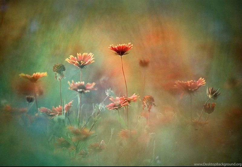 40 Striking High Resolution Photography Wallpapers From National ...
