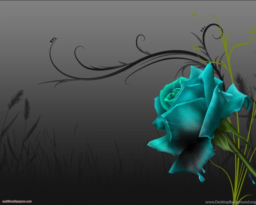 Black Rose Wallpapers   Wallpapers HD Fine