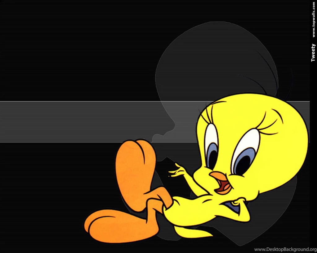 Tweety Desktop Wallpapers Images Tbwnz.com