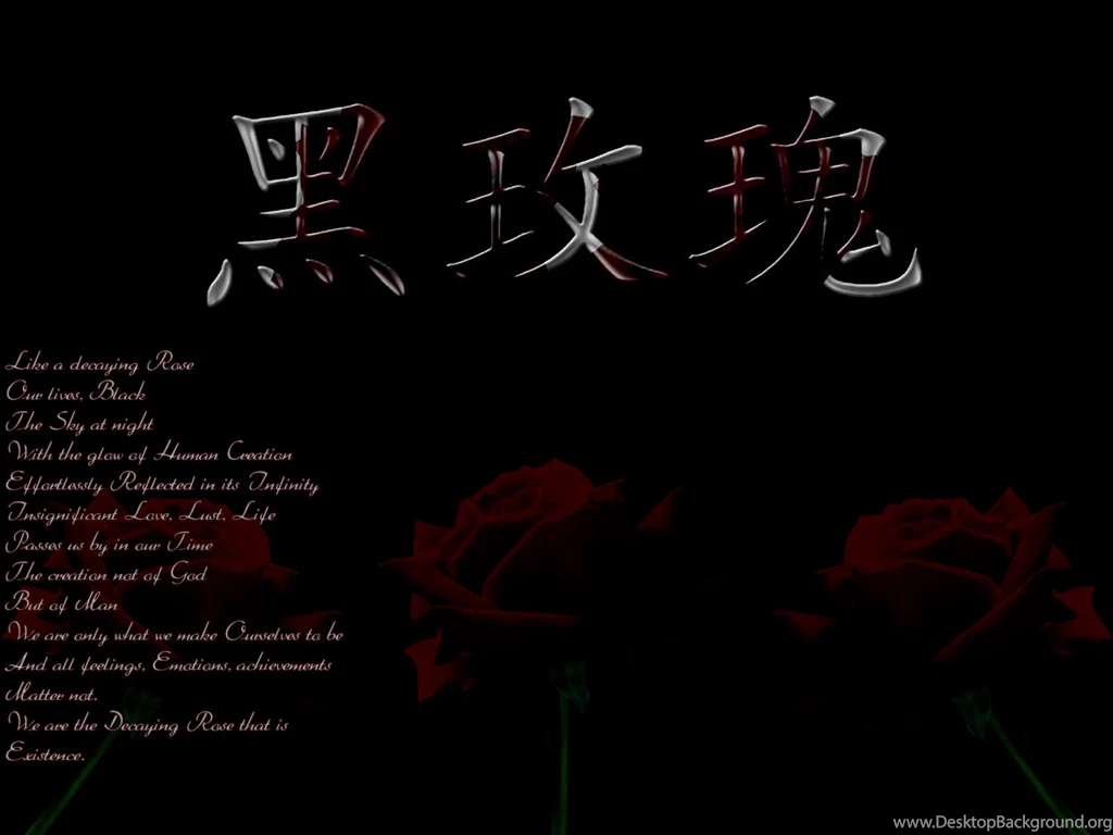 Black Rose By STTyleZ On DeviantArt