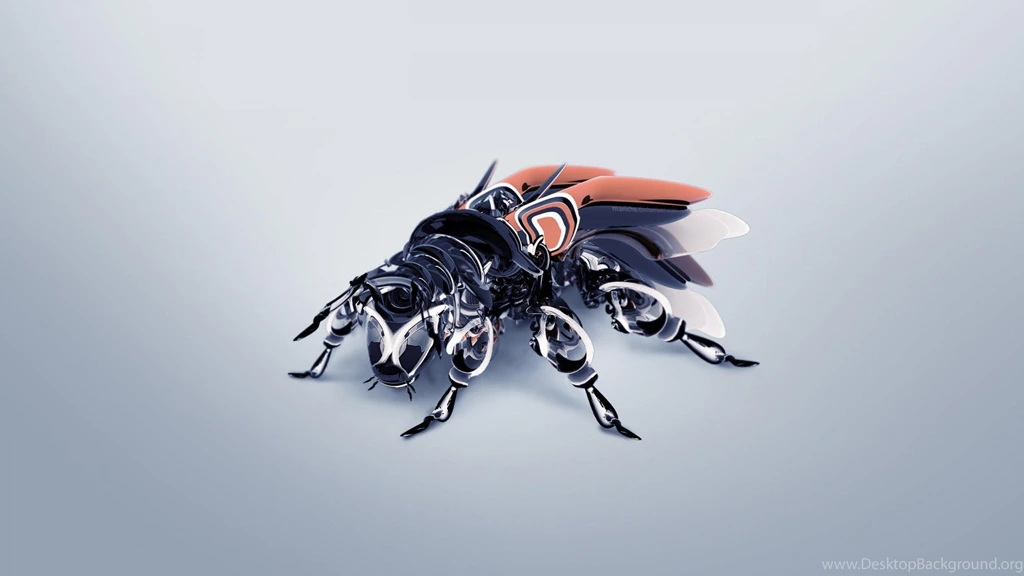 3D Fly Desktop HD Wallpaper.jpg